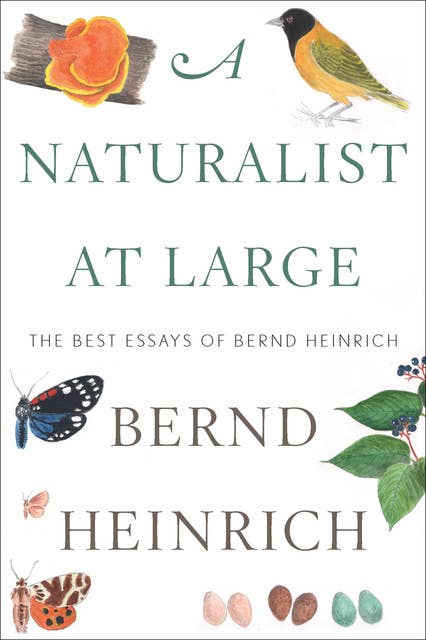 A Naturalist at Large: Fun Figures of Speech: The Best Essays of Bernd Heinrich