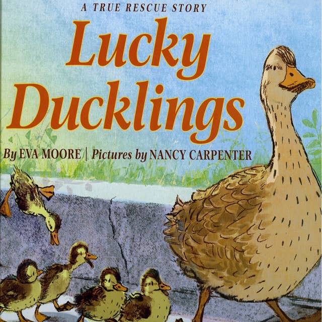 Lucky Ducklings