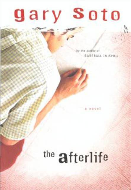 The Afterlife: A Novel