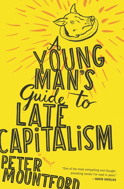 A Young Man's Guide to Late Capitalism: A Novel