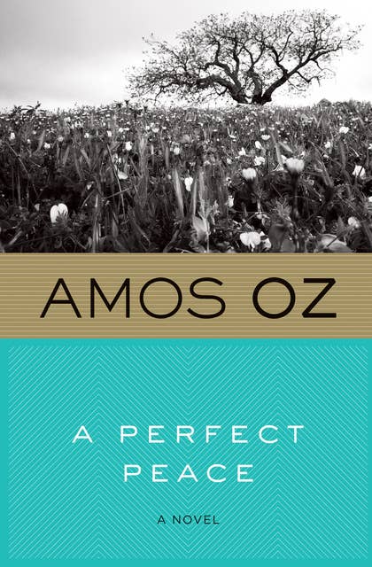 A Perfect Peace: A Novel