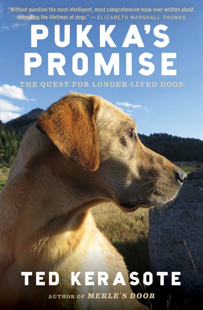 Pukka's Promise: The Quest for Longer-Lived Dogs