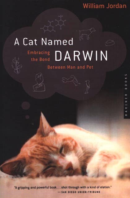 A Cat Named Darwin: Embracing the Bond Between Man and Pet
