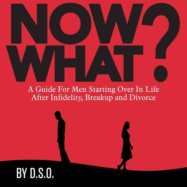 Now What?: A Guide for Men Starting Over in Life After Infidelity, Breakup and Divorce
