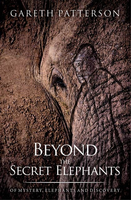 Beyond the Secret Elephants: On mystery, elephants and discovery