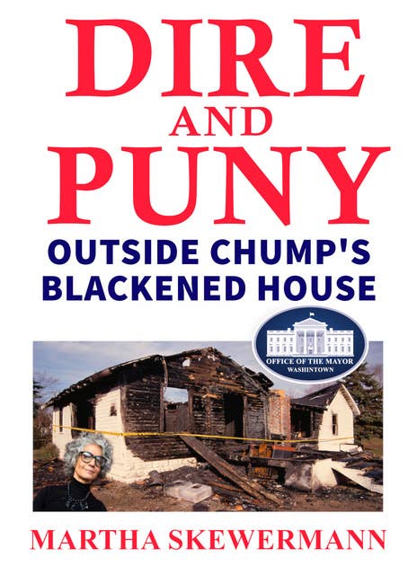 Dire and Puny: Outside Chump's Blackened House