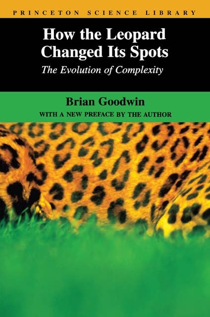 How the Leopard Changed Its Spots: The Evolution of Complexity