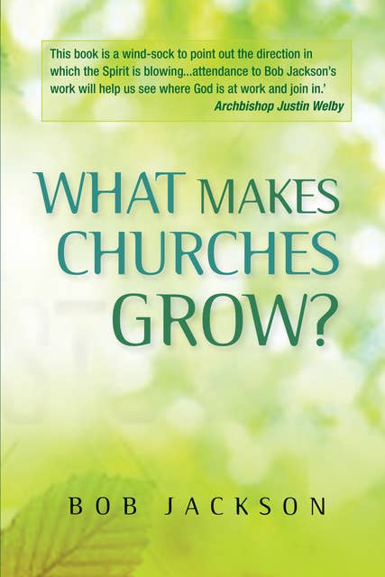 What Makes Churches Grow?: Vision and practice in effective mission