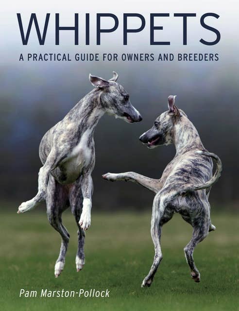Whippets: A Practical Guide for Owners and Breeders