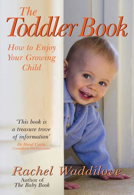 The Toddler Book: How to enjoy your growing child