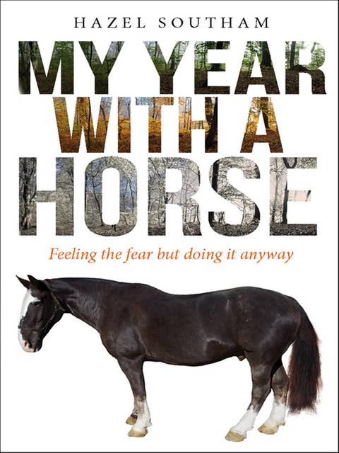 My Year With a Horse: Feeling the fear but doing it anyway