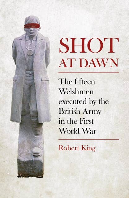 Shot at Dawn: The Fifteen Welshmen Executed by the British Army in the First World War