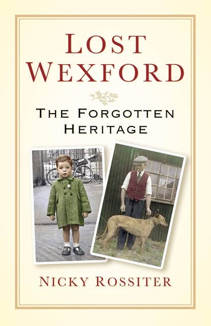 Lost Wexford: The Forgotten Heritage