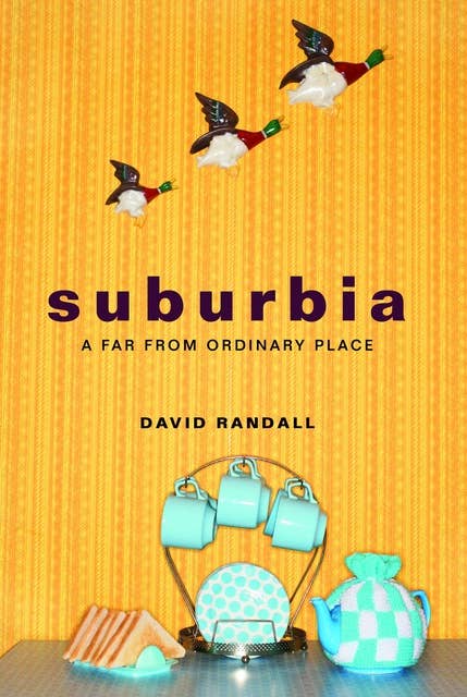 Suburbia: A Far from Ordinary Place