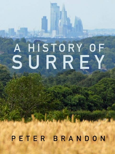 A History of Surrey