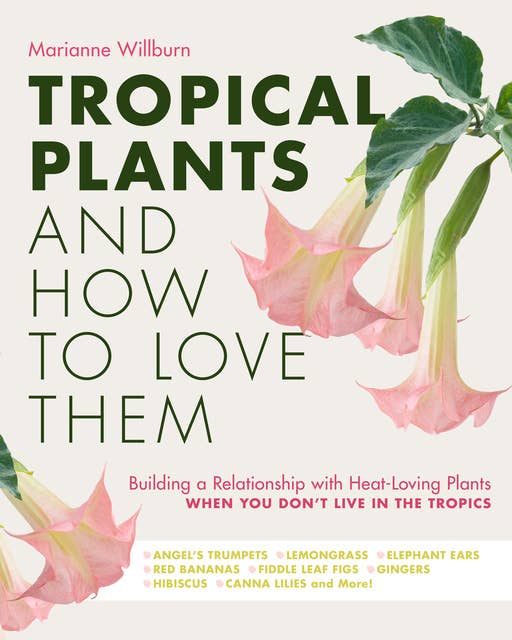 Tropical Plants and How to Love Them: Building a Relationship with Heat-Loving Plants When You Don't Live In The Tropics - Angel's Trumpets – Lemongrass – Elephant Ears – Red Bananas – Fiddle Leaf Figs – Gingers – Hibiscus – Canna Lilies and More!