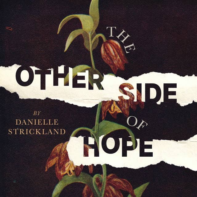 The Other Side of Hope: Flipping the Script on Cynicism and Despair and Rediscovering our Humanity