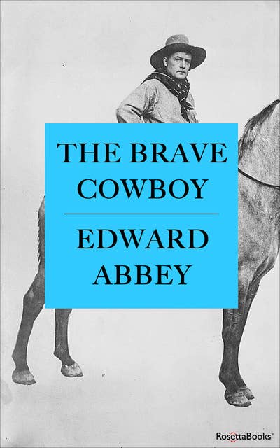 The Brave Cowboy