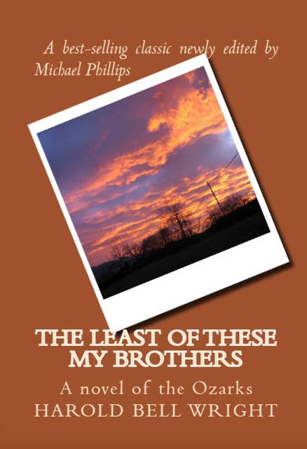 The Least of These My Brothers: A Novel of the Ozarks