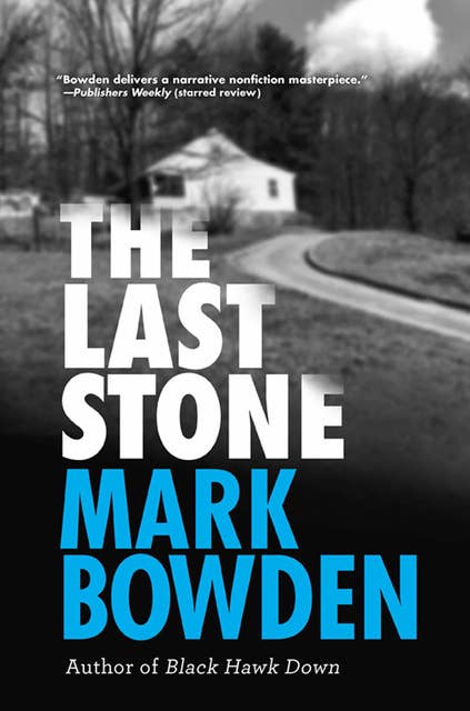 Cover for The Last Stone