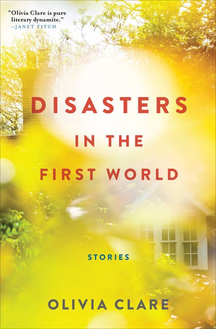 Disasters in the First World-Stories: Stories