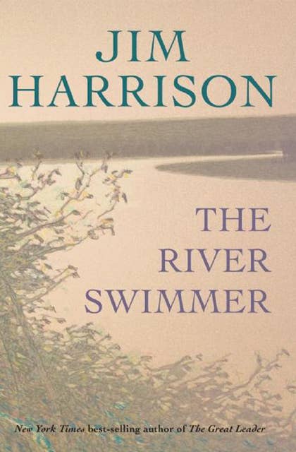 The River Swimmer