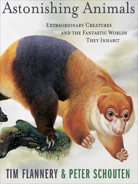 Astonishing Animals: Extraordinary Creatures and the Fantastic Worlds They Inhabit