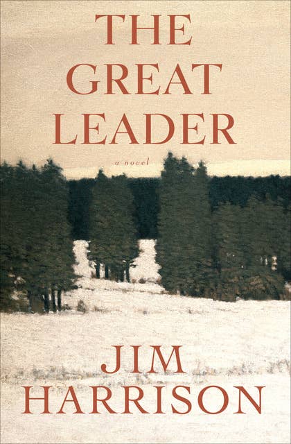 The Great Leader: A Novel