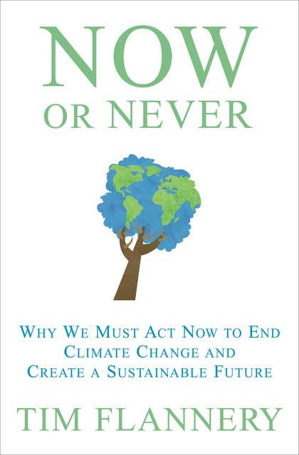 Now or Never: Why We Must Act Now to End Climate Change and Create a Sustainable Future