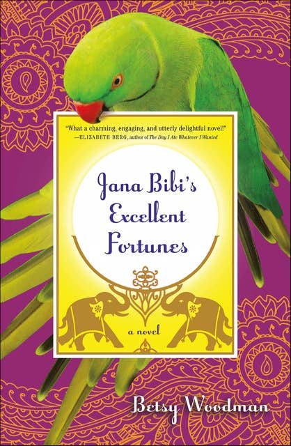 Jana Bibi's Excellent Fortunes: A Novel