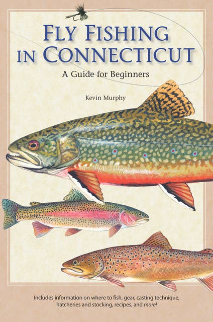 Fly Fishing in Connecticut: A Guide for Beginners