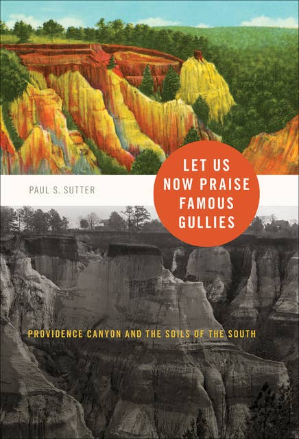 Let Us Now Praise Famous Gullies: Providence Canyon and the Soils of the South
