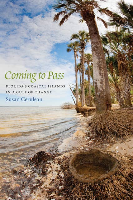 Coming to Pass: Florida's Coastal Islands in a Gulf of Change