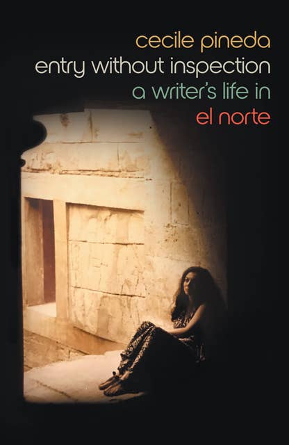 Entry Without Inspection: A Writer's Life in El Norte