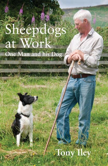 Sheepdogs at Work: One Man and His Dogs