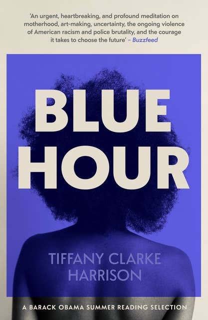 Blue Hour: A Fearless and Timely Debut - One of Barack Obama's Summer Reading Selections