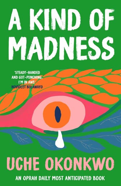 A Kind of Madness: A dynamic collection of short stories set in Nigeria exploring family, community and the struggle for survival 