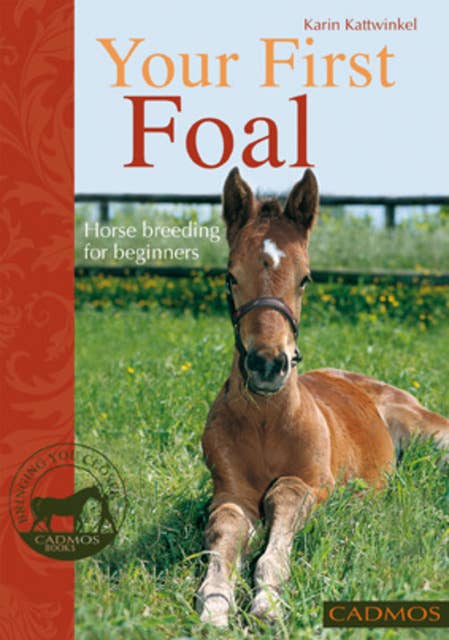 Your First Foal: Horse breeding for beginners