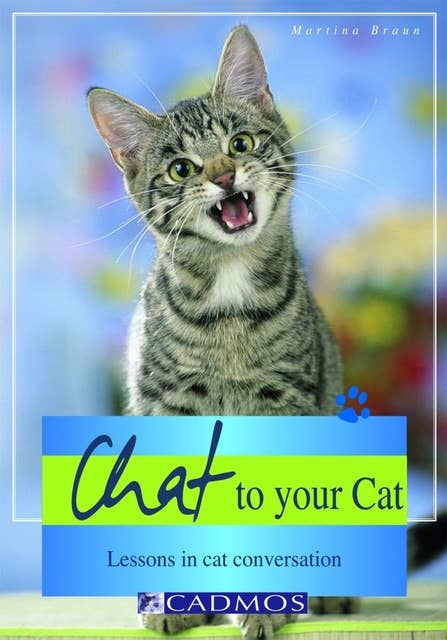 Chat to your Cat: Lessons in cat conversation