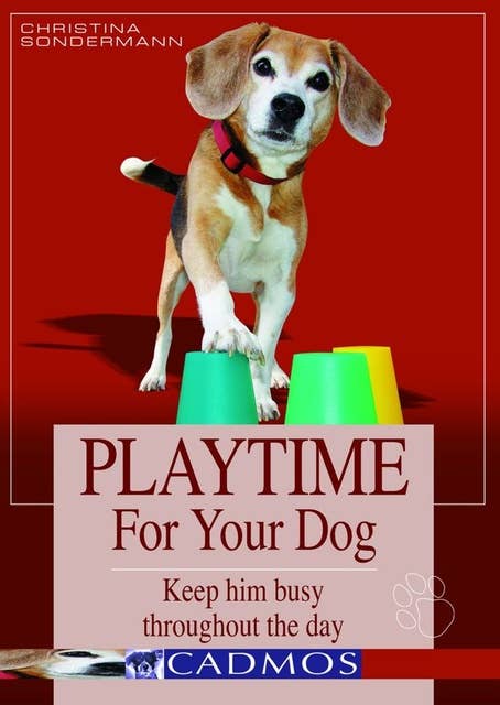 Playtime for your dog: Keep him busy throughout the day