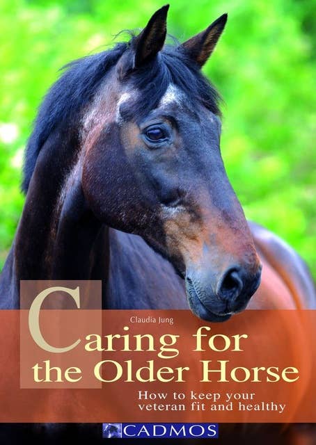 Caring for the Older Horse: How to keep your veteran fit and healthy