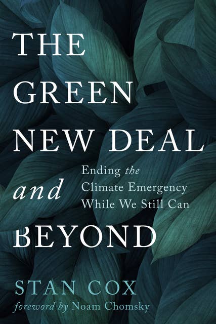 The Green New Deal and Beyond: Ending the Climate Emergency While We Still Can