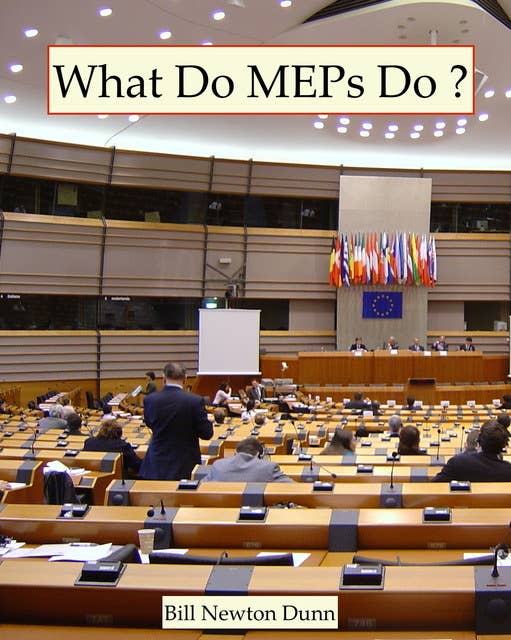 What Do MEPs Do ?