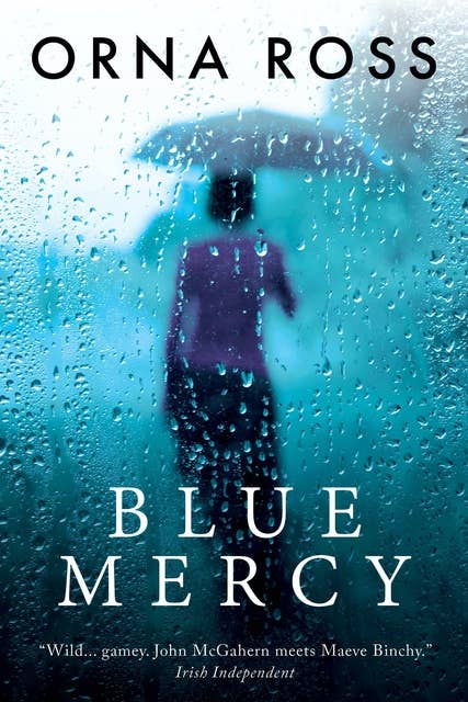 Blue Mercy: A Heartbreaking, Page-Turning Irish Family Drama