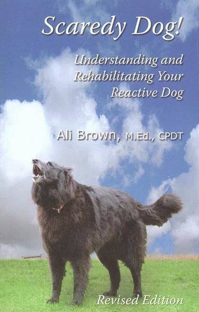 Scaredy Dog!: UNDERSTANDING AND REHABILITATING YOUR REACTIVE DOG REVISED EDITION