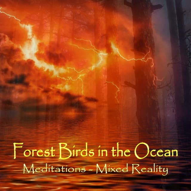 Forest Birds in the Ocean - Meditations Mixed Reality
