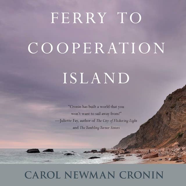 Ferry to Cooperation Island: A Novel