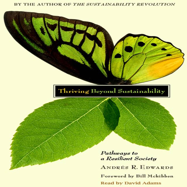 Thriving Beyond Sustainability