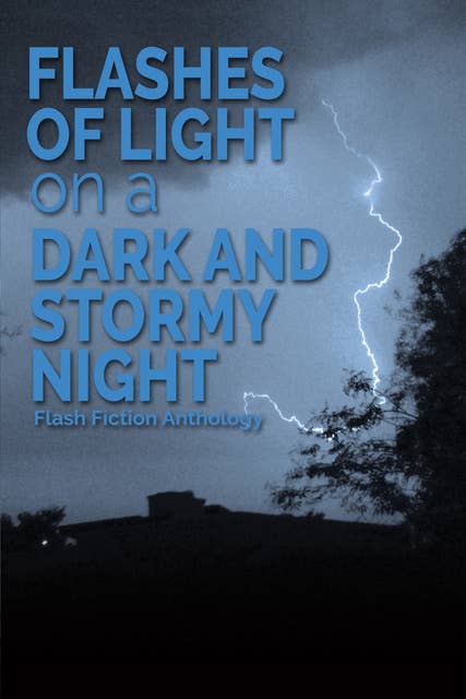 Flashes of Light on a Dark and Stormy Night: A Flash Fiction Anthology