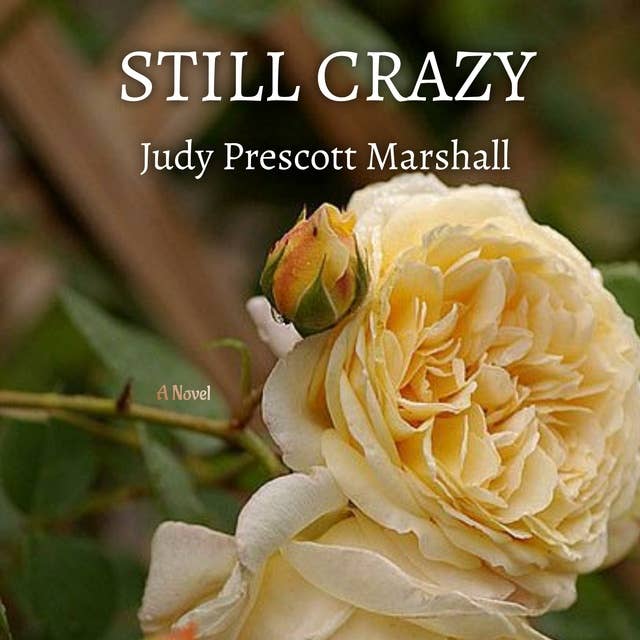 Still Crazy: Inspired by a True Love Story